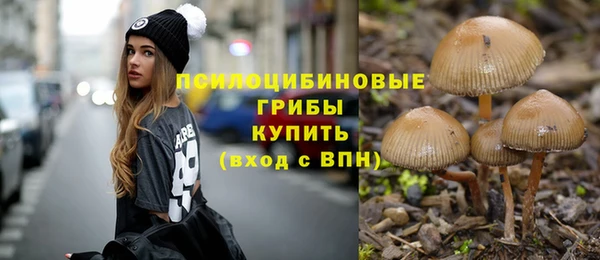 хмурый Костерёво