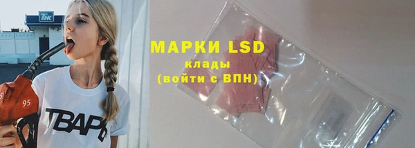 спиды Корсаков