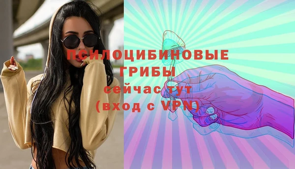 хмурый Костерёво