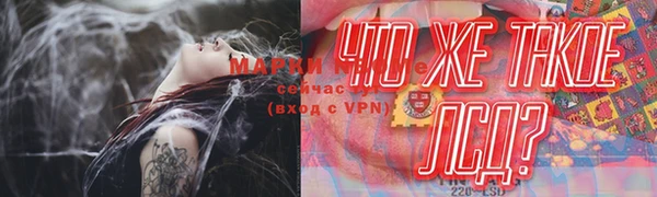 бошки Козловка