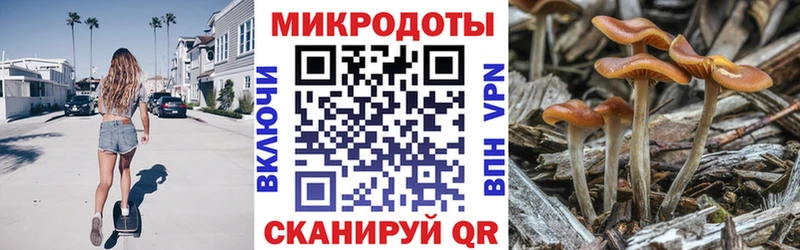 Псилоцибиновые грибы Cubensis  Сурск 